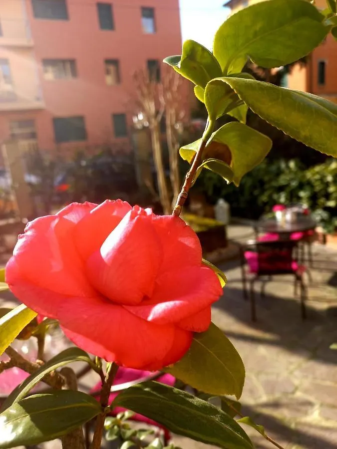 Hotel Arcoveggio Bologna